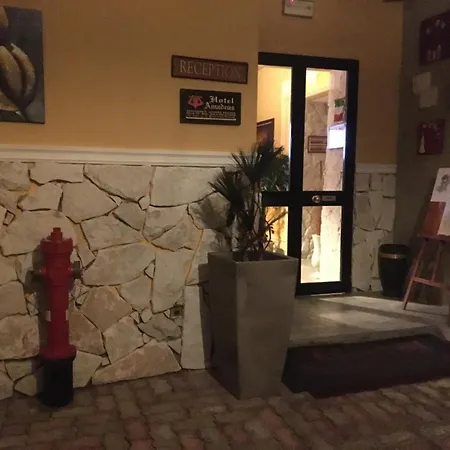 Hotel Amadeus 3*